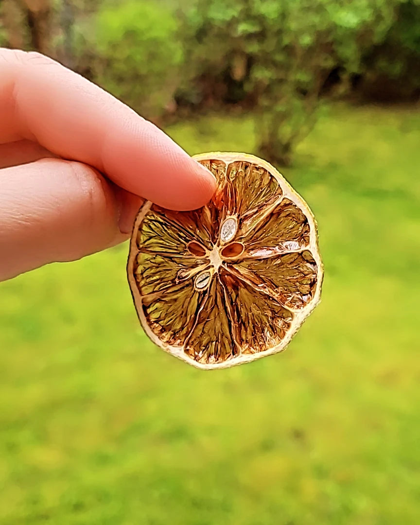 Limon Kurusu 150g